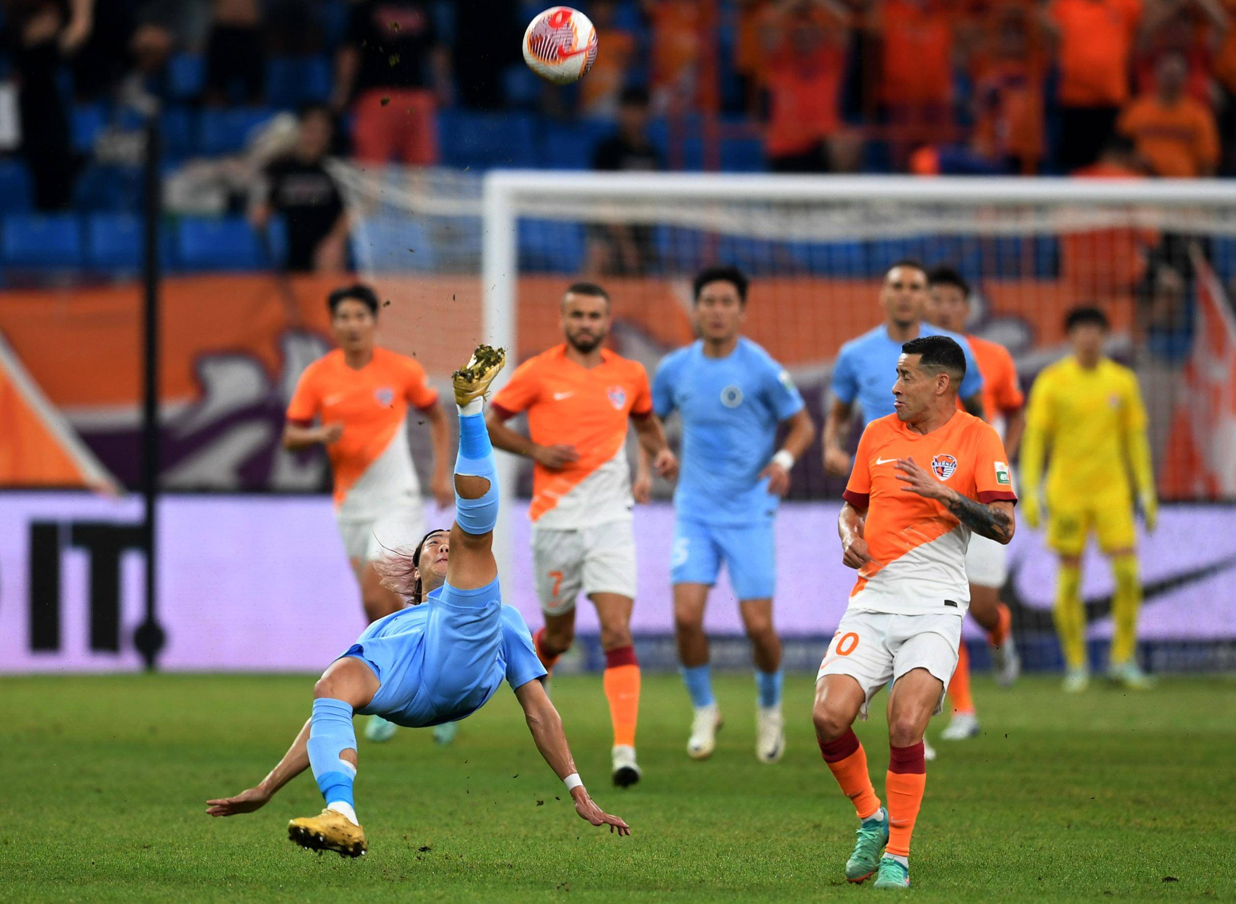 可以欣赏到 可以欣赏到