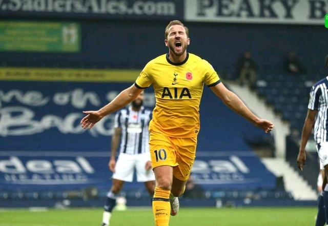 马或许真的 马或许真的