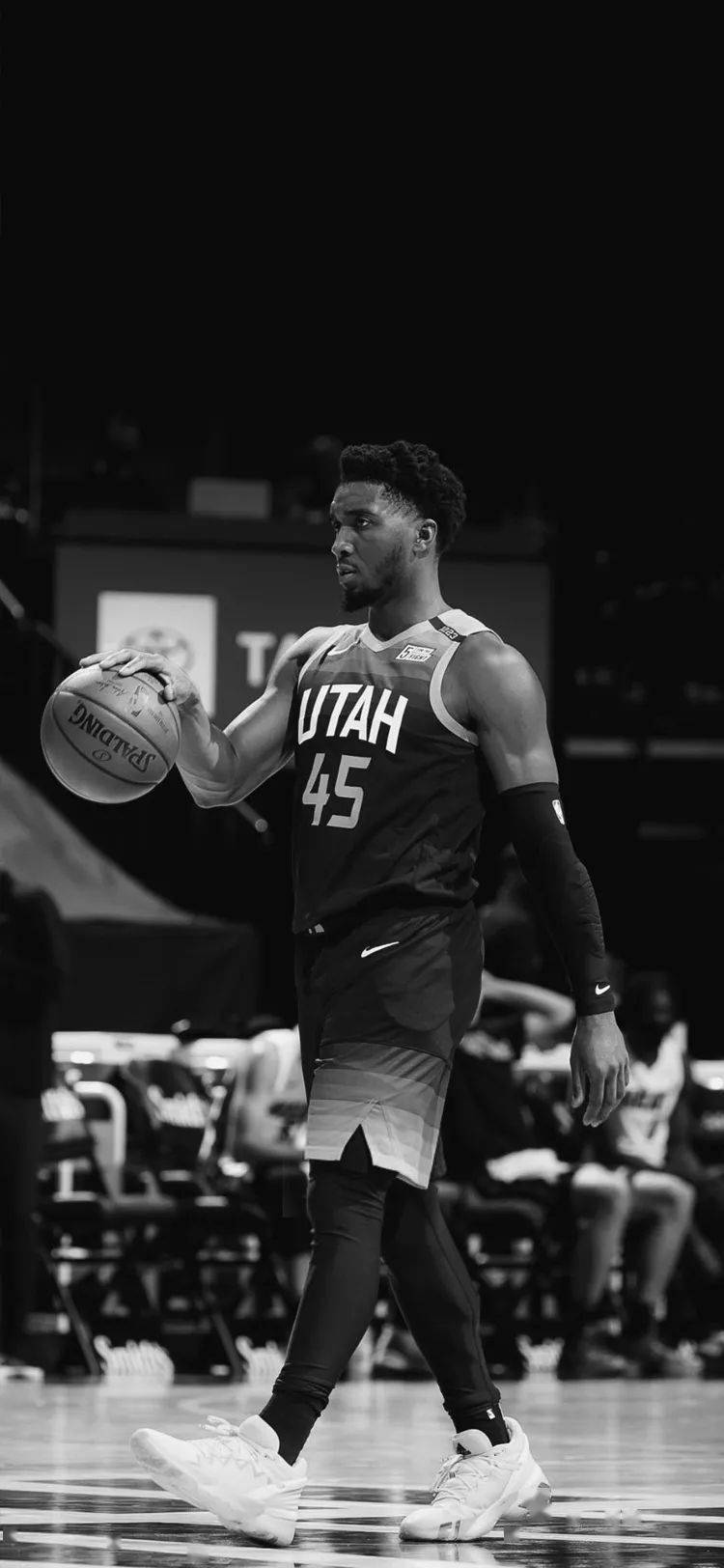 杨的精准防 杨的精准防